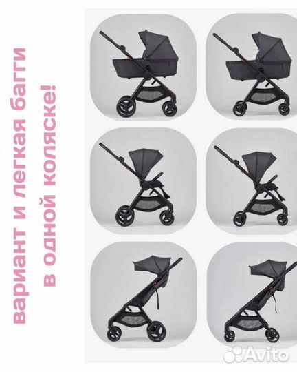 Единственная и неповторимая Anex IQ