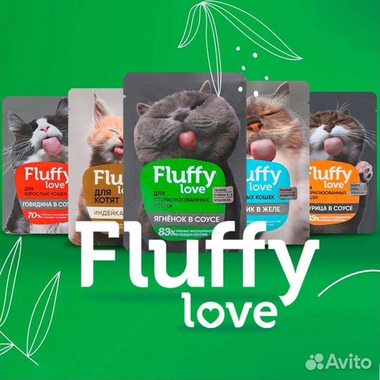 Корм для кошек и котят