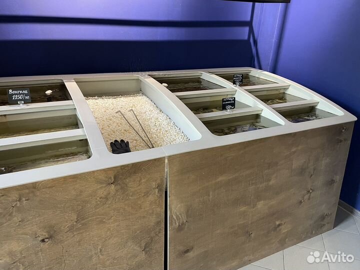 Аквариум с тумбой 500 литров