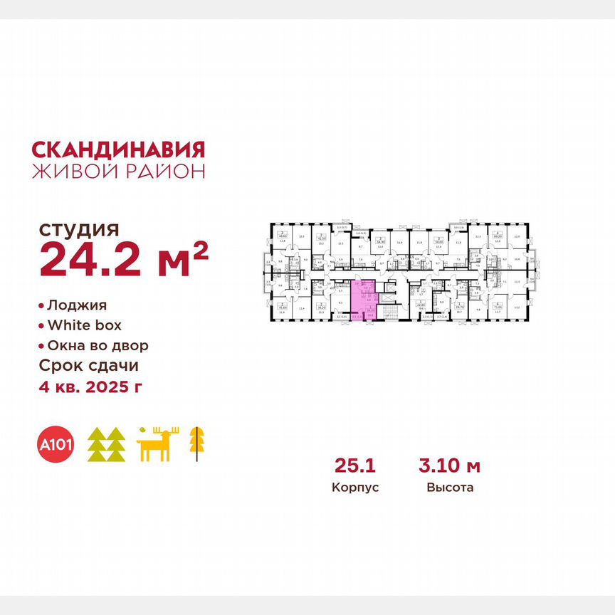 Квартира-студия, 24,2 м², 14/14 эт.