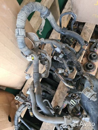 Проводка подкапотная Toyota Corolla E150 1.6