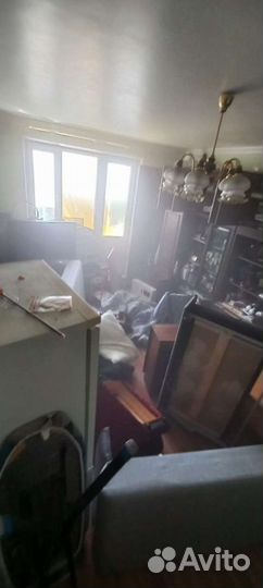 Уничтожение клопов тараканов борщевика плесени