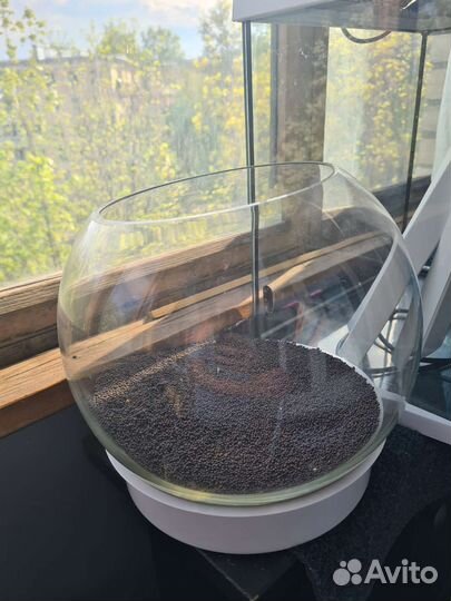 Флорариум, креветочник, аквариум