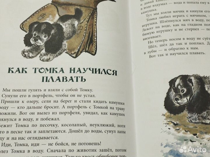 Книга про томку