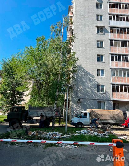 Спил деревьев. Расчистка участков. Валка. Обрезка