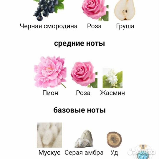 HFC Dancing Queen распив 5 мл