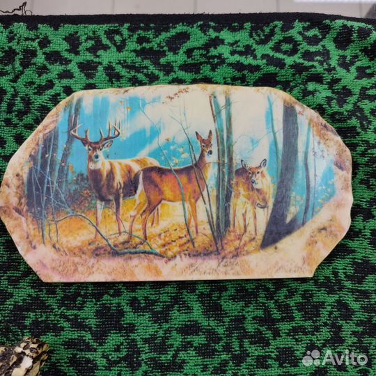 Сувенир для охотника