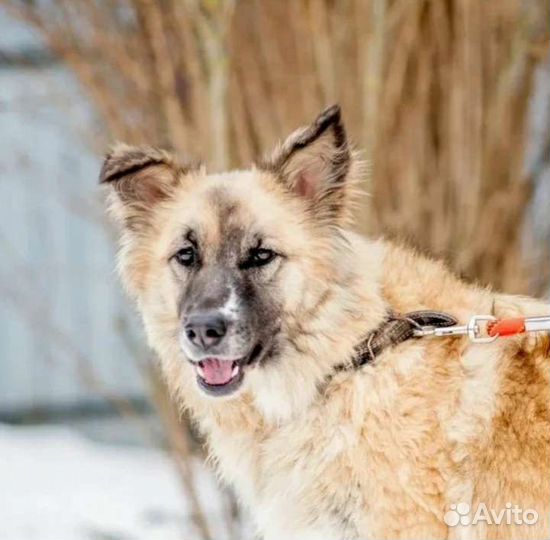 Злата нуждается в теплоте и ласке