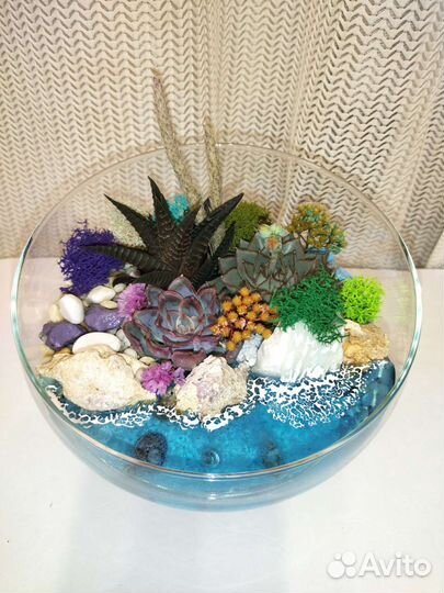 Флорариум/растения/цветы