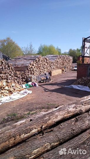 Дрова колотые береза