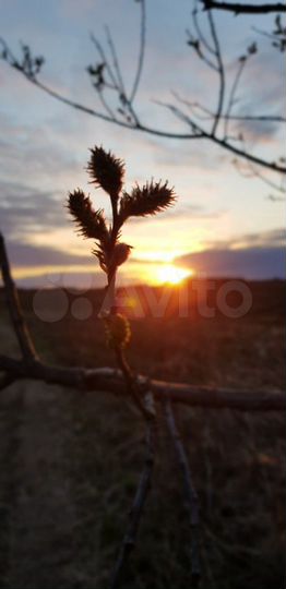 Участок 10 сот. (СНТ, ДНП)