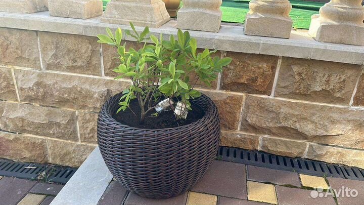 Кашпо из искусственного ротанга