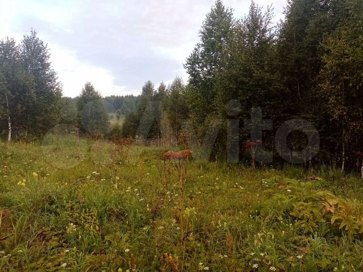 Участок 20 сот. (ИЖС)