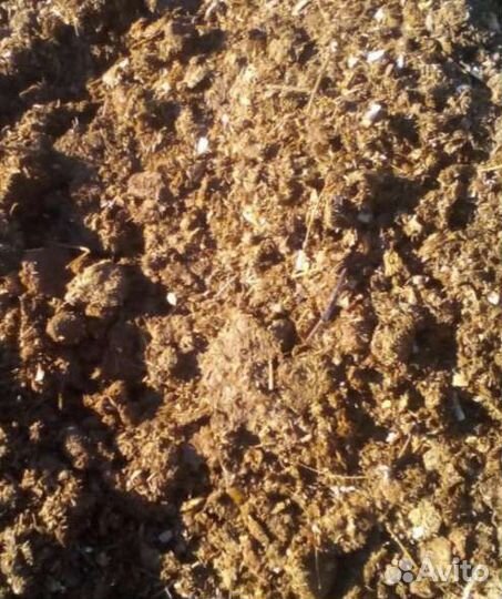 Конский навоз