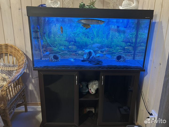 Аквариум с тумбой
