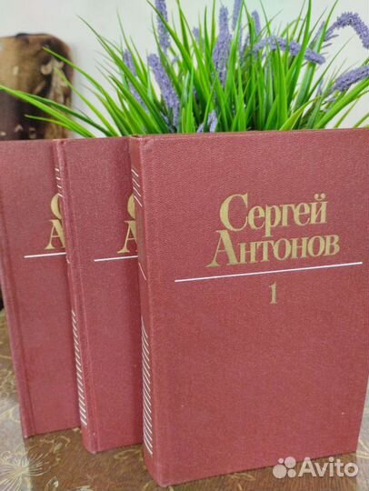 Сергей Антонов