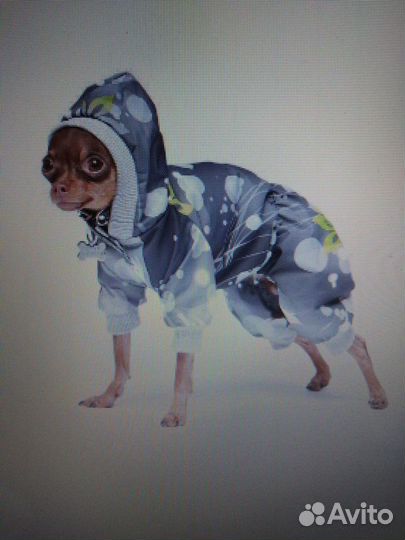 Товары для животных