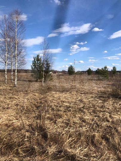 Участок 12 сот. (ИЖС)