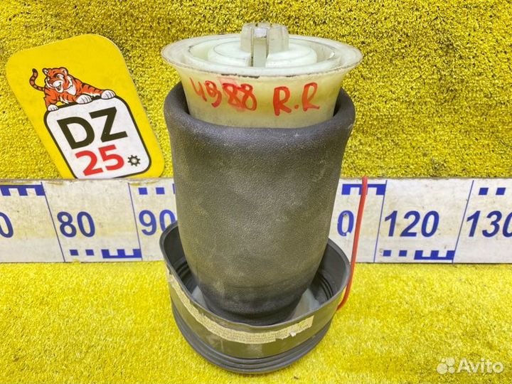 Пневмобаллон задний Bmw X5 E70 N62B48 2008 145310