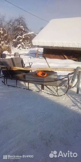 Сани