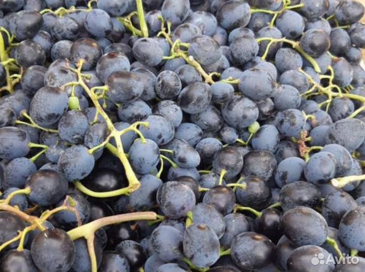 Фрукты, овощи, орехи, сухофрукты оптом и в розницу