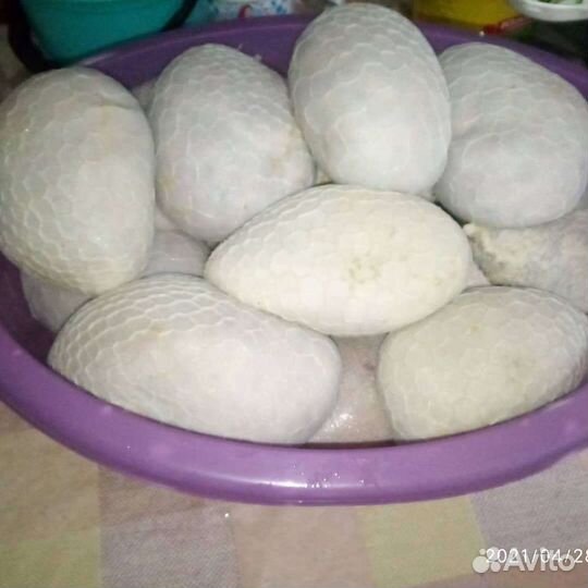 Ба1арш и колбаса