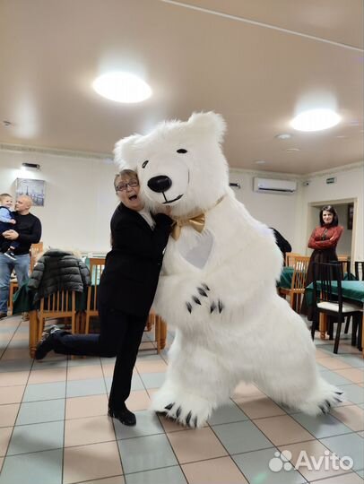 Поздравление от белого медведя
