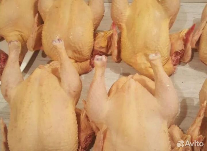 Куры деревенские