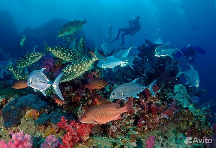 В Таиланд, Пхукет на 9 ночей от 3-4* завтраки