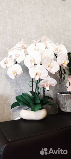 Орхидея - светильник настольный