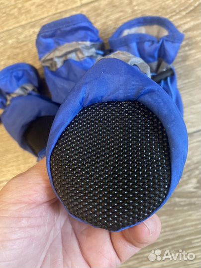 Одежда для собак