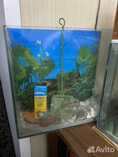 Аквариум