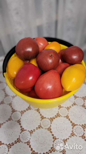 Помидоры домашние