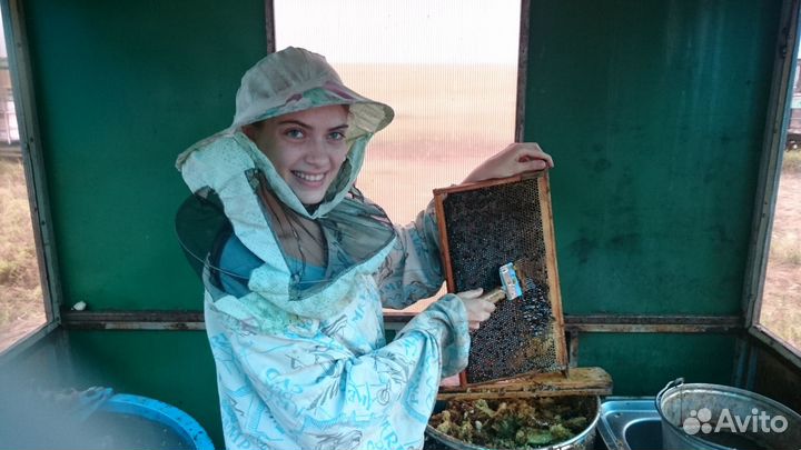 Мёд майский разнотравие гречиха 2023