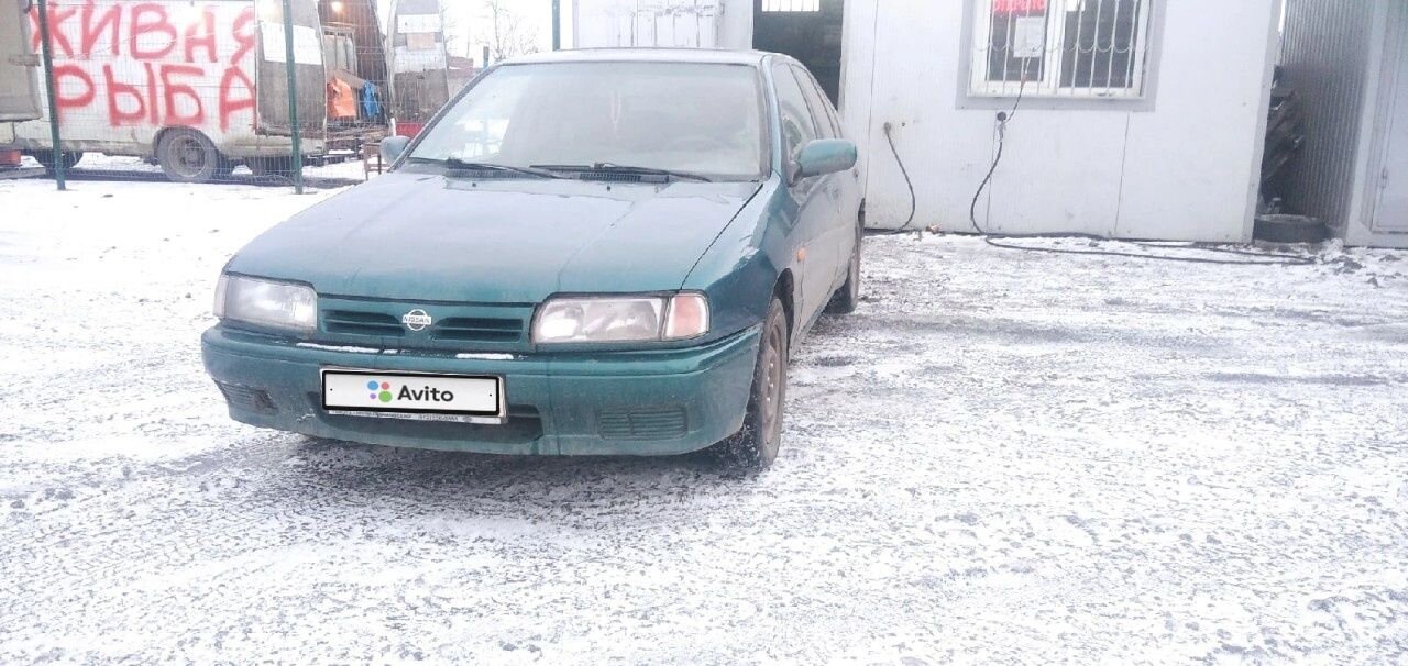 Nissan Primera: фото владельца