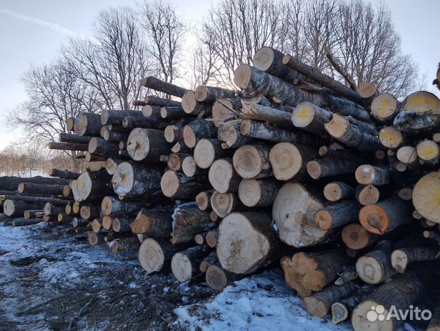 Дрова березовые, осина купить в Боровичах | Товары для дома и дачи | Авито