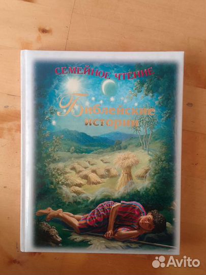 Книга Библейские истории. Семейное чтение