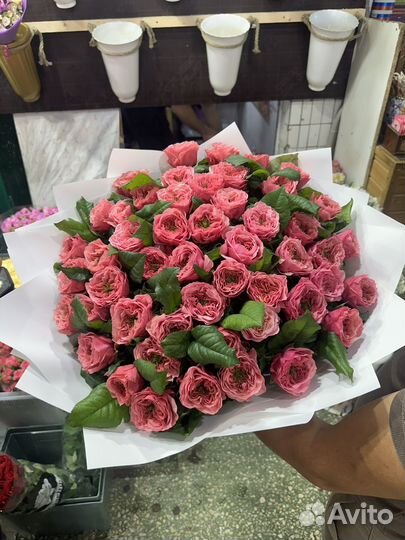 Цветы пионовидные розы