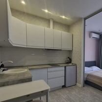 1-к. квартира, 30 м², 17/17 эт.