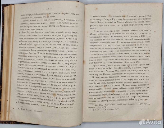 Графиня Екатерина Ивановна Головкина 1867г