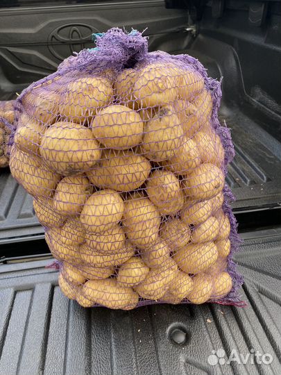 Продам картофель