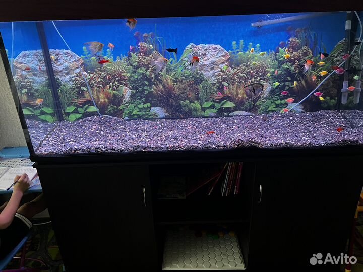 Аквариум с тумбой на 450л