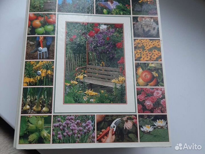 Сад моей мечты