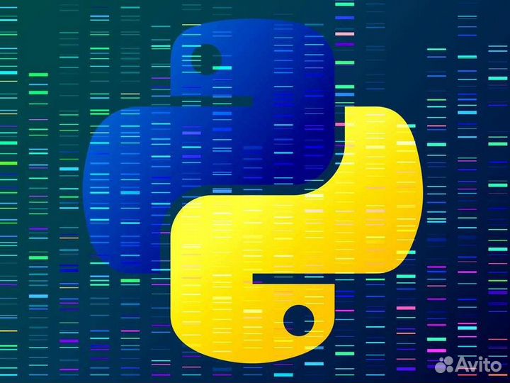 Программист на python