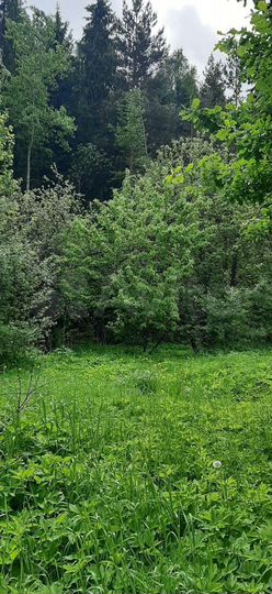 Дача 48 м² на участке 6 сот.