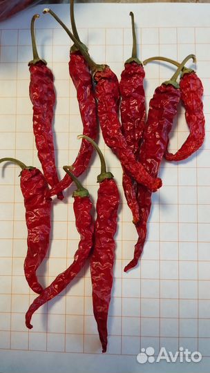 Семена острого перца