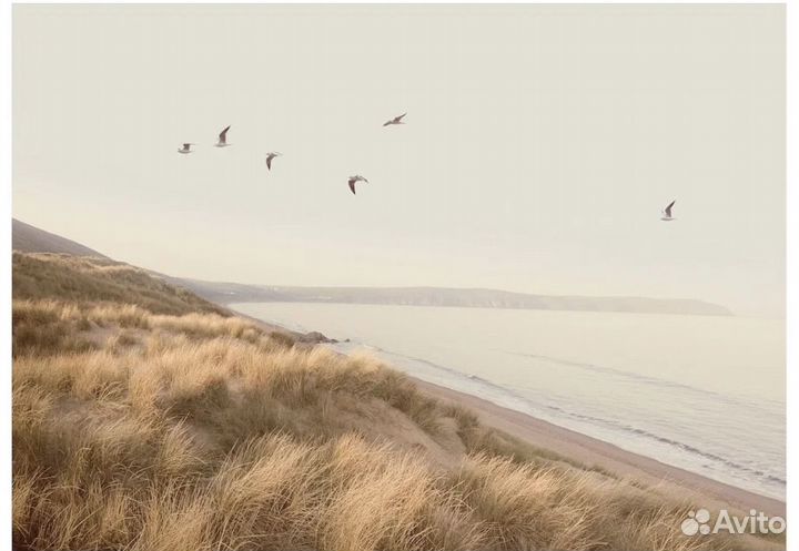 Постер бьёркста холст 140x100 Птицы над берегом