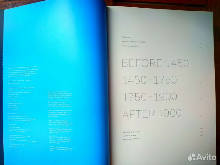 The Metropolitan Museum of Art, новая