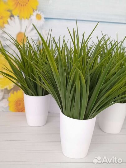 Осока искусственная травка