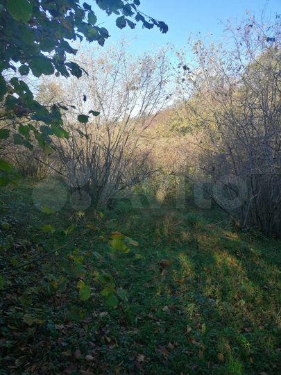 Участок 55 сот. (ИЖС)